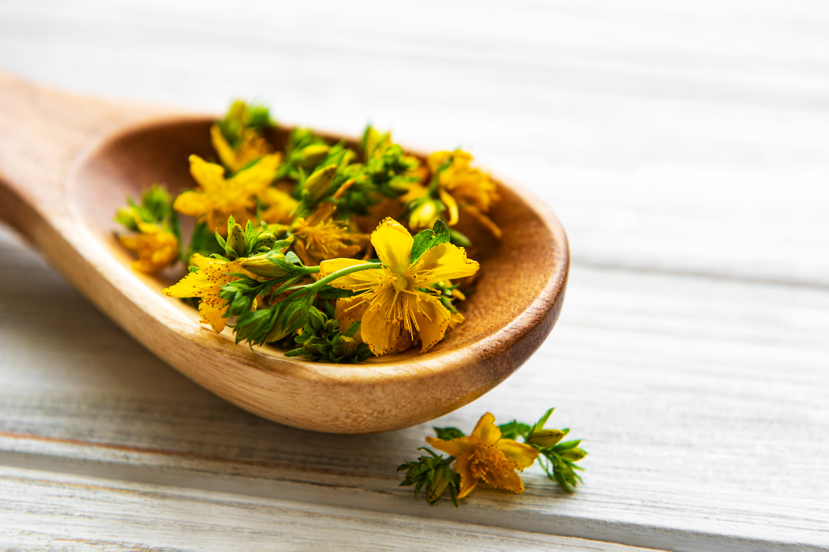 St. John’s wort