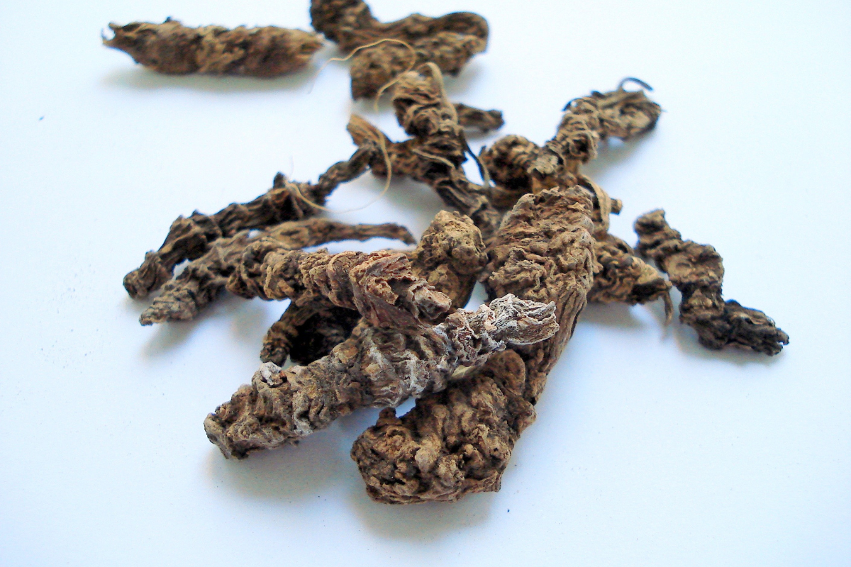 Valerian root