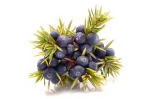 Juniper Berries